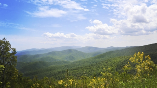 view of rolling hills and partly cloudy sky with flowers in foreground