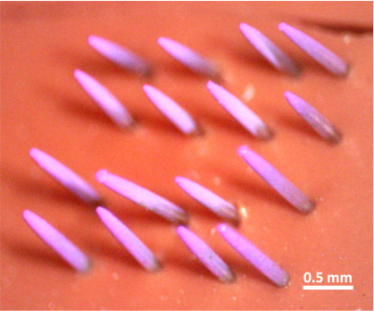Graphic showing pink spikes penetrating through an orange background.