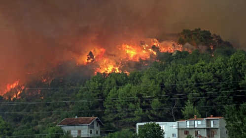 Wildfires