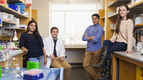 Four students in a lab bay