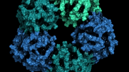 C-reactive protein (CRP, human) inflammation biomarker, 3D render