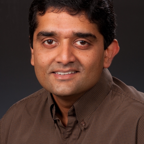 Narayan Mandayam