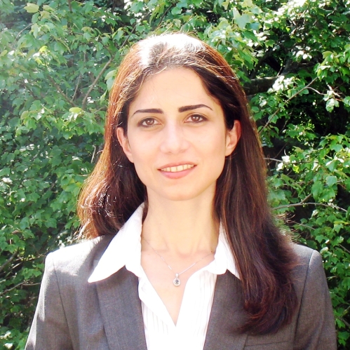 Laleh Najafizadeh