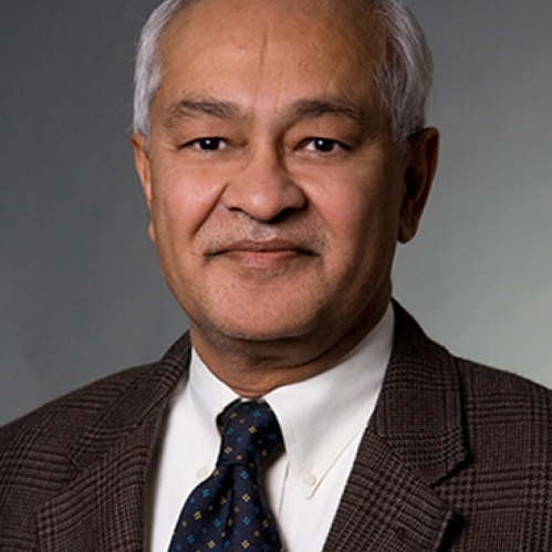 Headshot of male with short grey hair, wearing a brown suit, shite button down shirt, and a dark blue patterned tie.