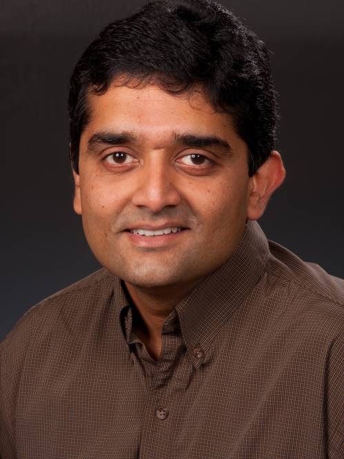 Narayan Mandayam