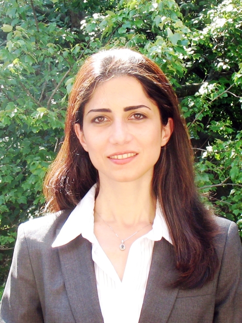 Laleh Najafizadeh