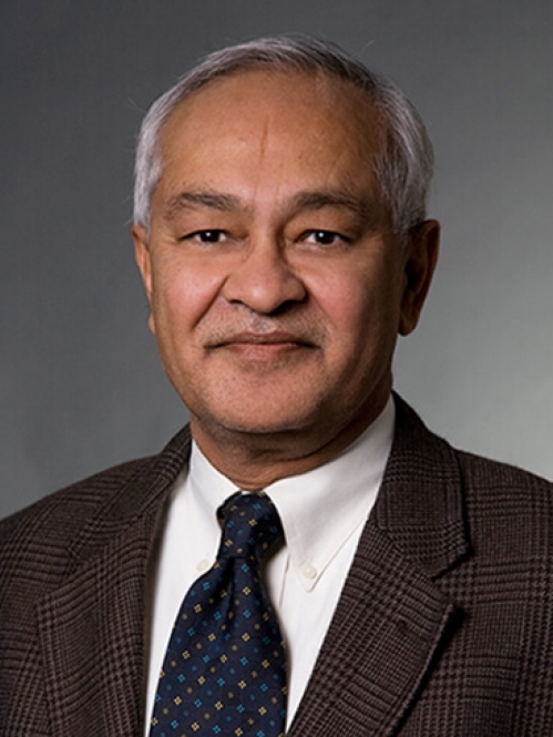 Headshot of male with short grey hair, wearing a brown suit, shite button down shirt, and a dark blue patterned tie.