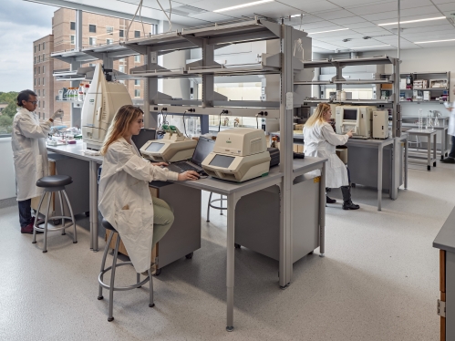 Civil & Environmental Engineering students conducting work in a lab