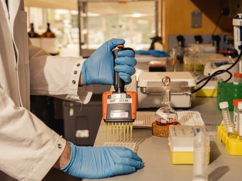 Blue gloved hands in lab holding a device.