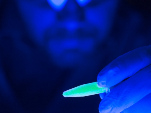Blurred image of someone looking at a glowing liquid in a tube