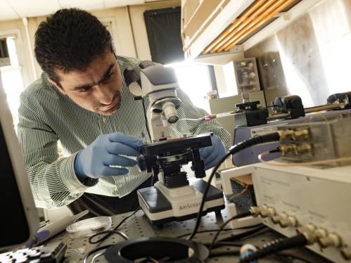 male professor looking at microscope