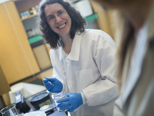 Woman faculty working in lab