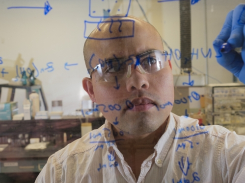 man in white shirt, safety glasses and blue glove writes formula on a clear board in a chemistry lab.