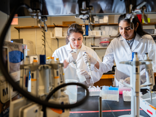 Two female students in the biomedical lab