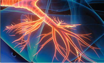 computer graphic showing an orange nerve structure