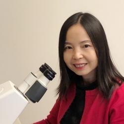 Headshot of Professor Yong Mao depicted smiling as posed next to a microscope